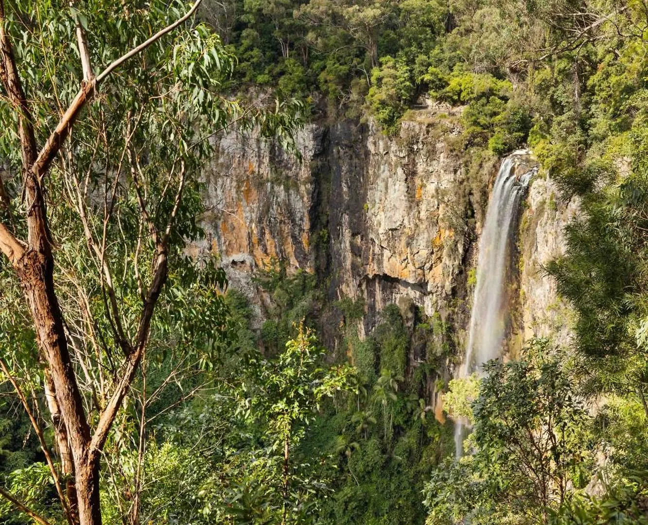 Secluded Luxury 2Br Rainforest Retreat Free Wi-Fi Springbrook 0*,  Australië